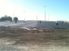 field-6-new-pic-3
