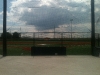 Field #5